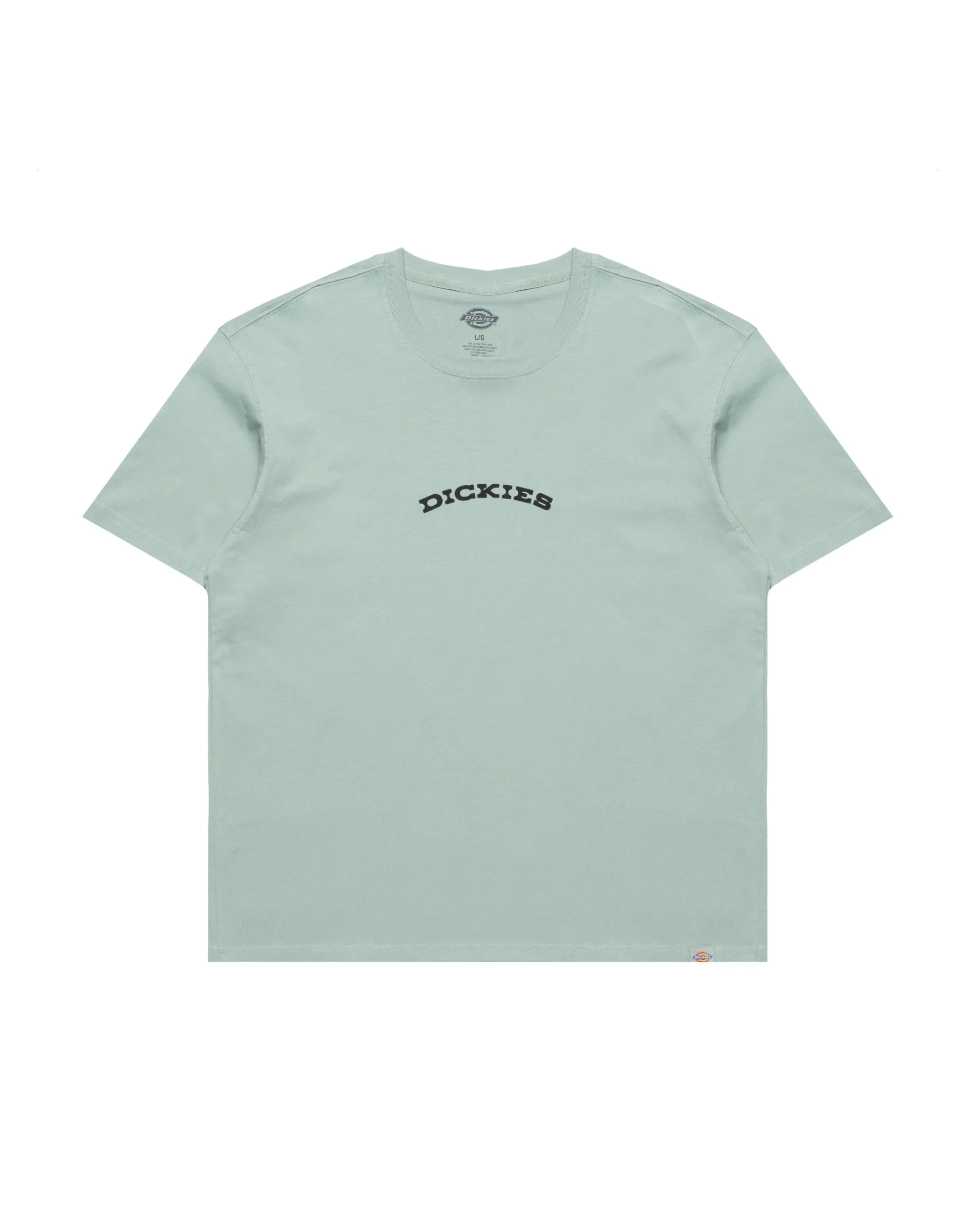 dickies-outdoor-ss-tee-iceberg-green-dk0a4z8pk361-apparel _ t-shirts-packshots-0