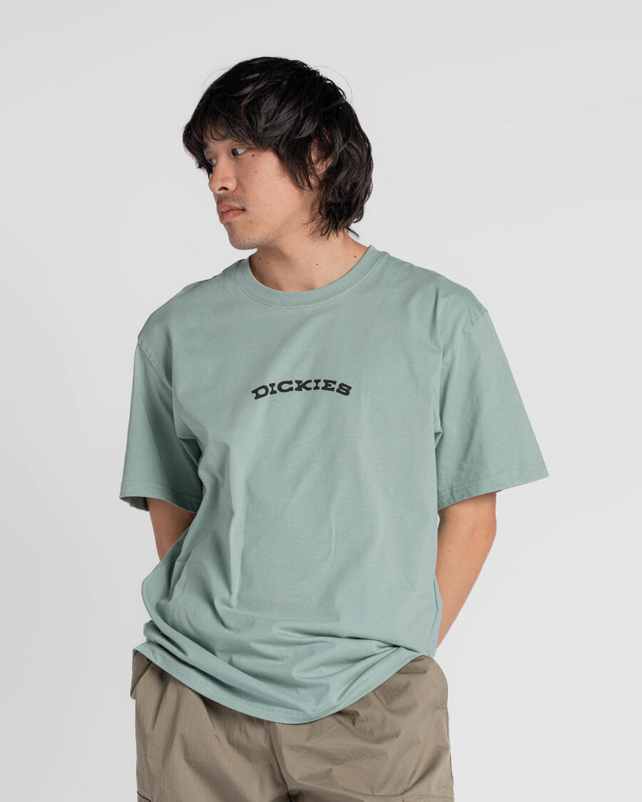 dickies-outdoor-ss-tee-iceberg-green-dk0a4z8pk361-apparel _ t-shirts-packshots-60