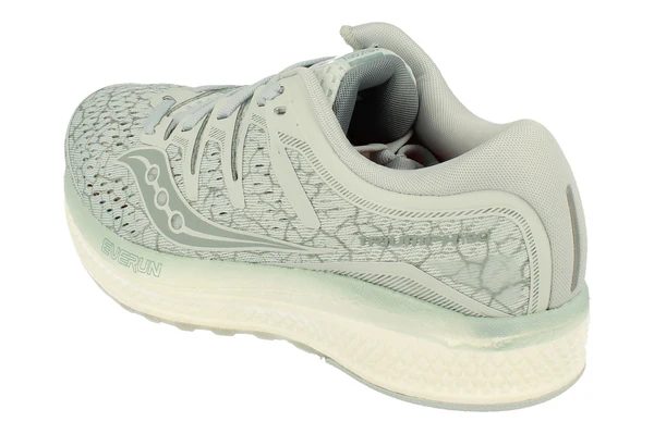 S10462-42_2D_0002_600x400